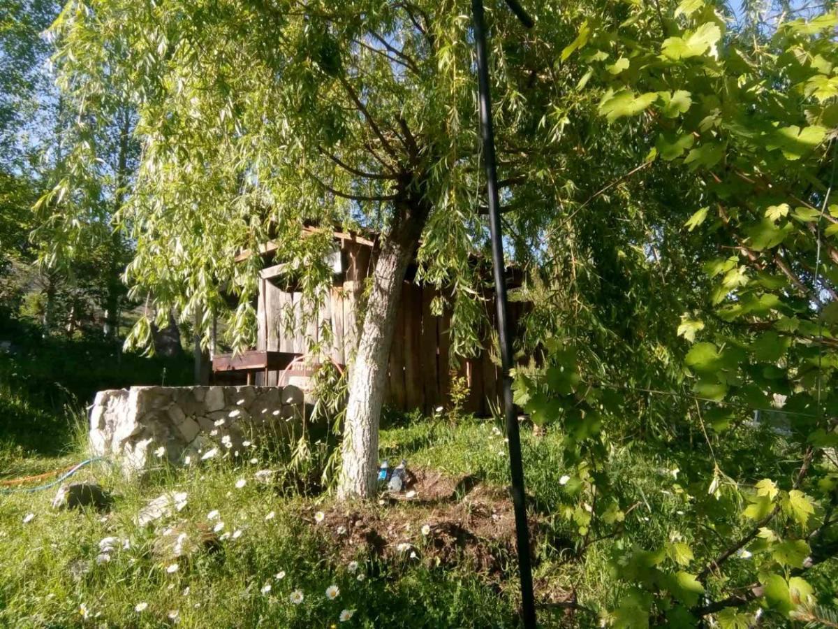 Hotel Nirvana Dilijan Luaran gambar